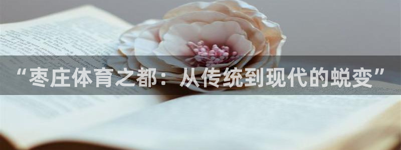 球速体育