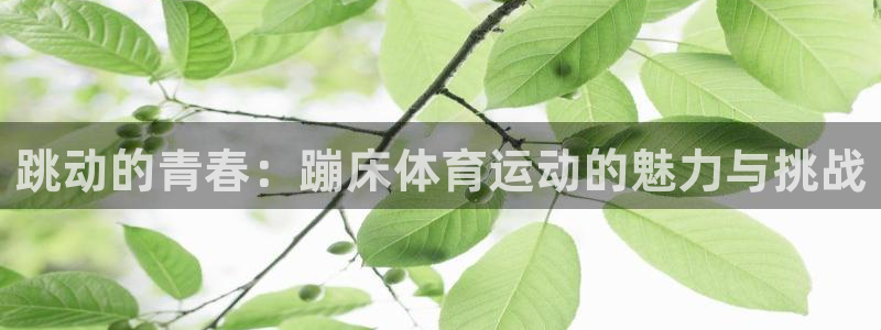 球速体育