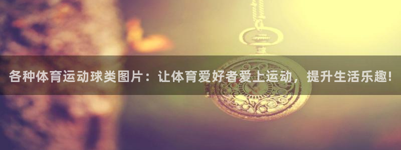 球速体育