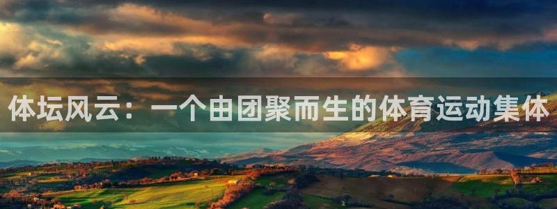 球速体育
