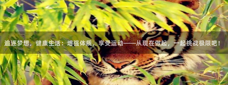 球速体育