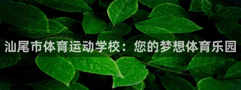 球速体育