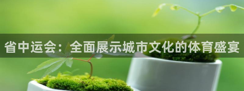 球速体育