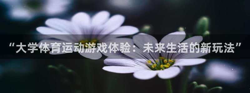 球速体育