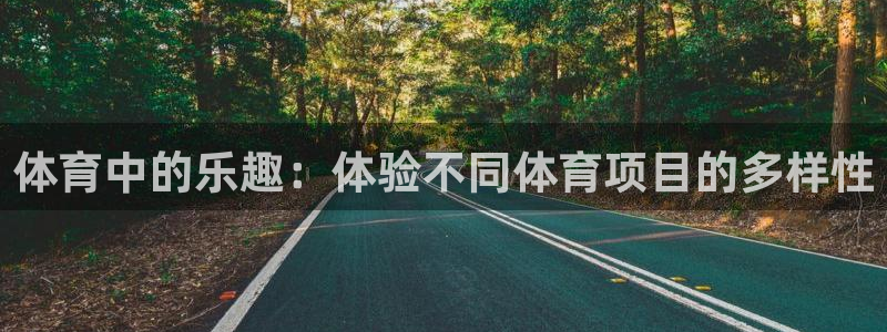 球速体育