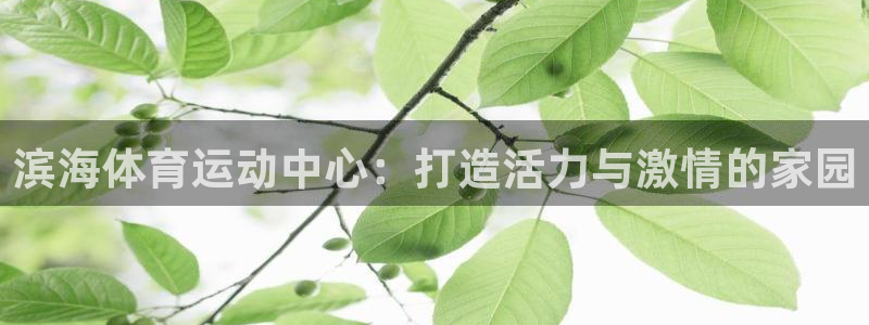 球速体育