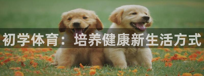 球速体育