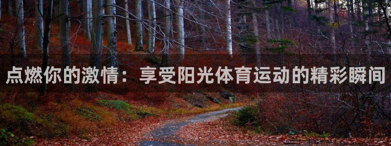 球速体育