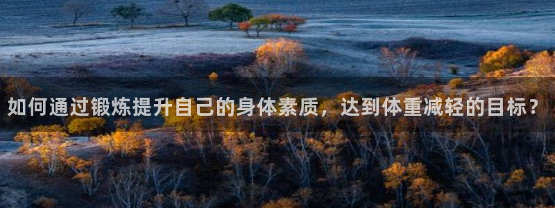 球速体育