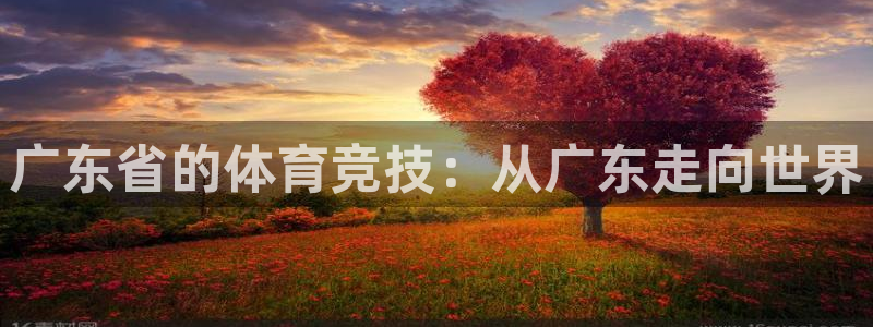 球速体育
